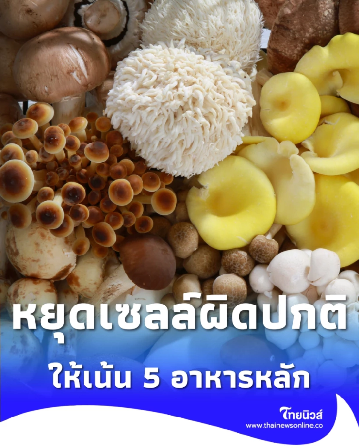 เผย 5 อาหารที่ดีกว่าดีท็อกซ์แพง ๆ ช่วยฟื้นฟูร่างกายจากภายใน