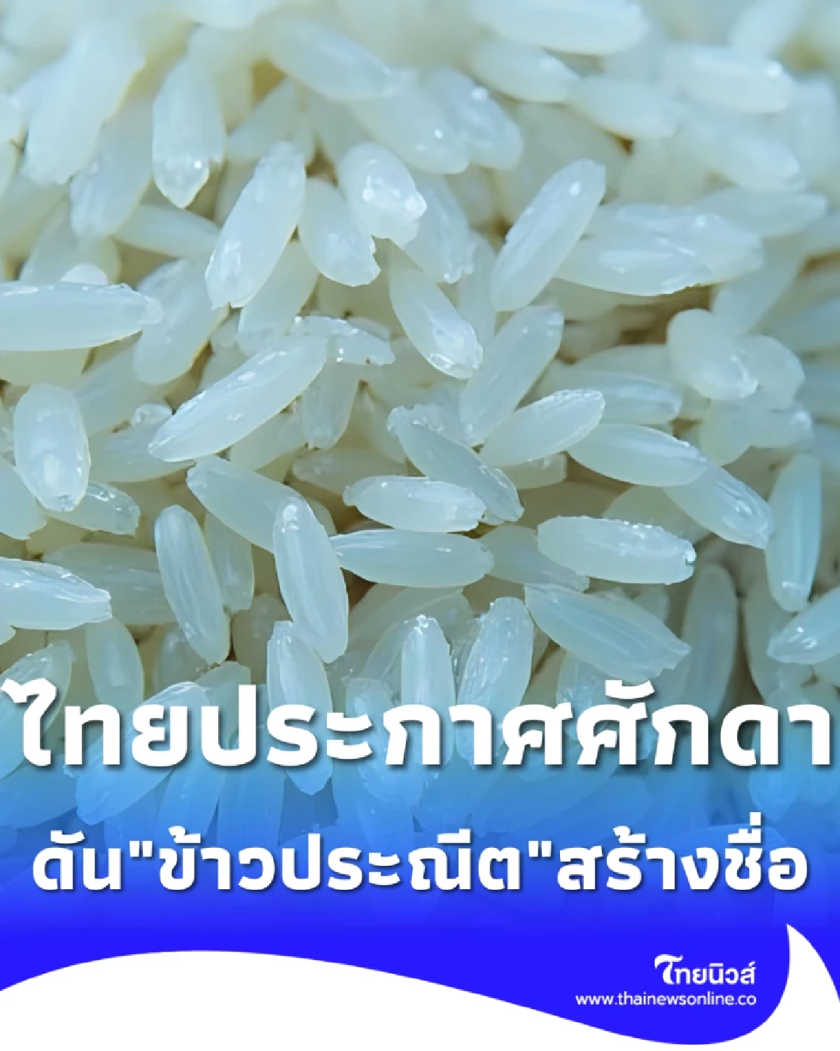 ไทยประกาศศักดา พลิกเกมข้าว ดัน ข้าวประณีต เจาะตลาดพรีเมียมโลก