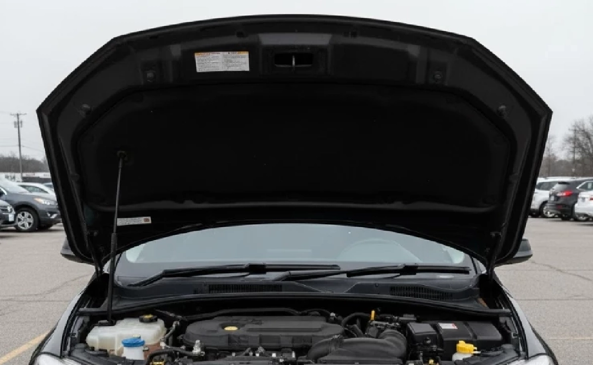 เจ้าของรถเปิดฝากระโปรง เจอเม็ดปริศนา รู้ตัวการยิ่งทำให้ปวดหัว