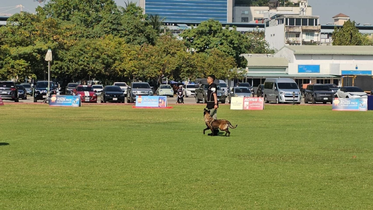 เปิดคะแนน 3 สุนัขทหารไทย สอบระดับโลก เก่งจนกรรมการชม