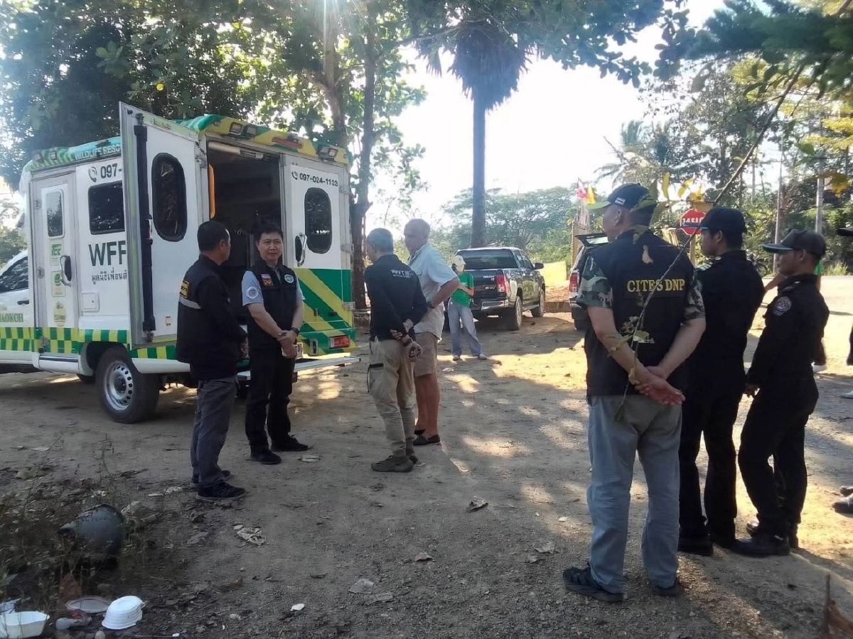 ทลายรังสแกมเมอร์เจอ "เสือโคร่ง" ถูกขัง ลุ้นผล DNA โยงแก๊งค้าสัตว์