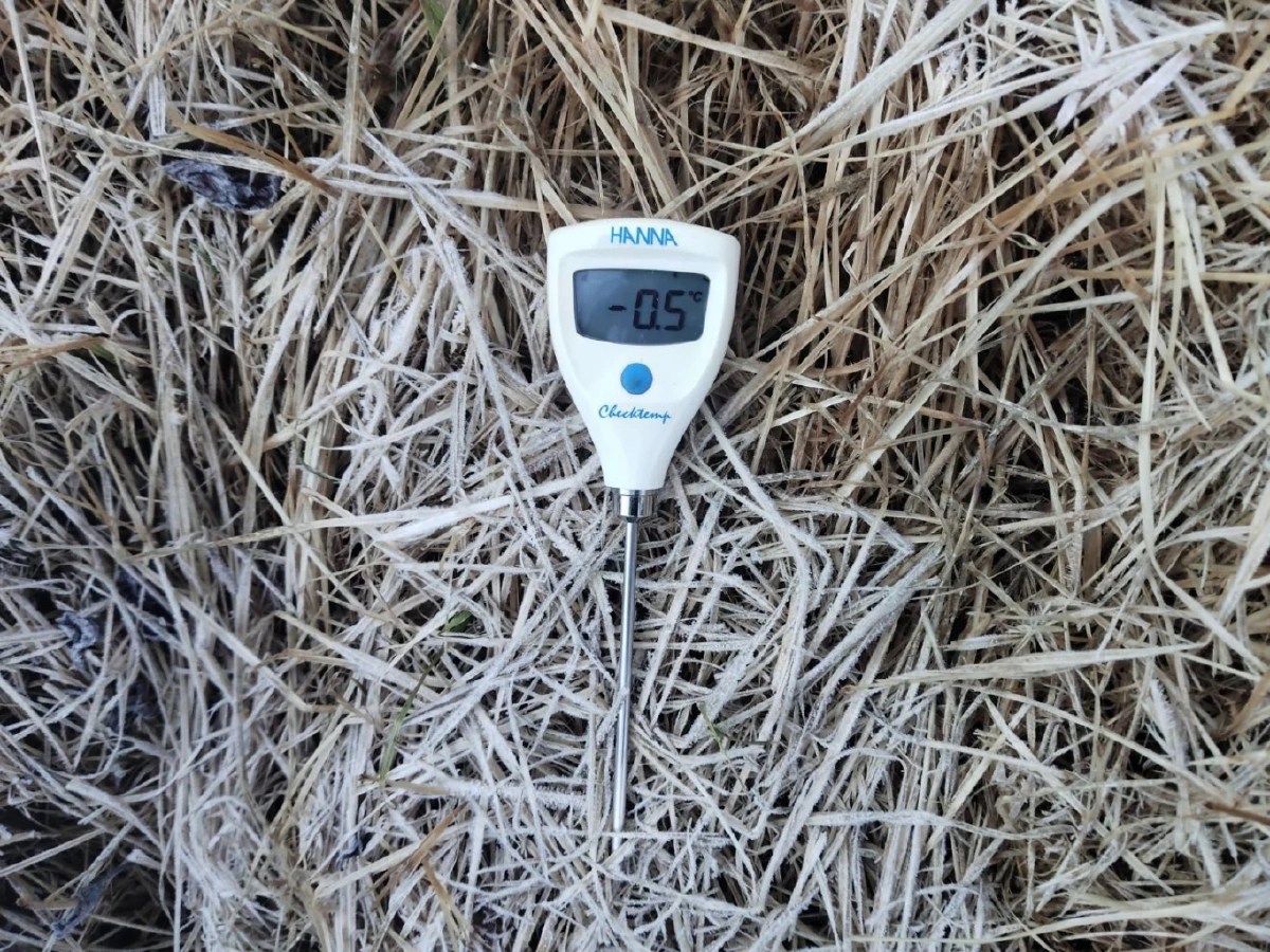 หนาวสะท้าน ดอยอินทนนท์ อุณหภูมิติดลบ เหมยขาบโผล่ 11 ครั้ง