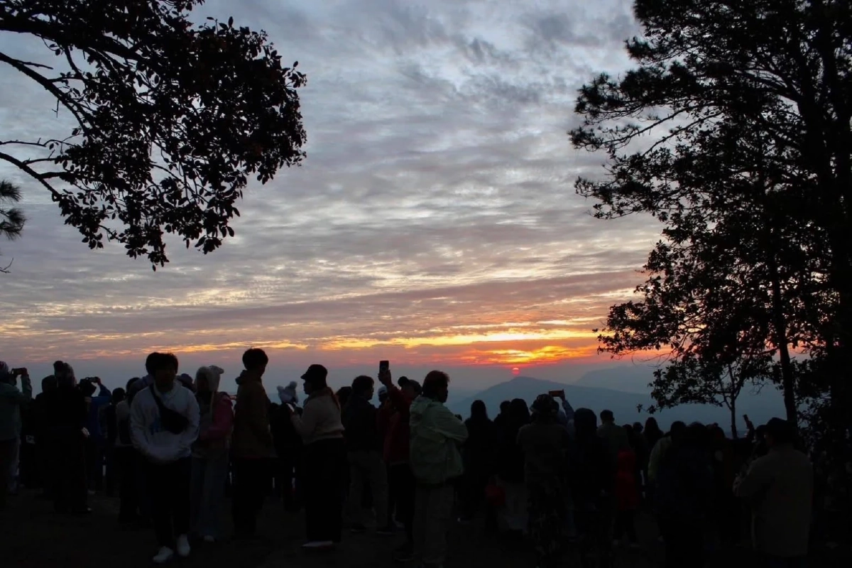 แห่ขึ้นภูเรือนับพัน! เข้าฟรีวันแรก ทะเลหมอกปังส่งท้ายปี 2568