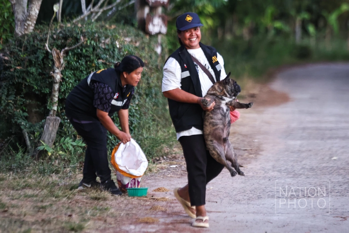 ภาพ โสภน สุเสนา (Sopon Susena)