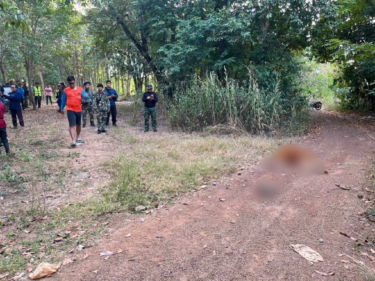 ช้างป่าทำร้ายพระมรณภาพขณะบิณฑบาต กรมอุทยานเร่งเยียวยา