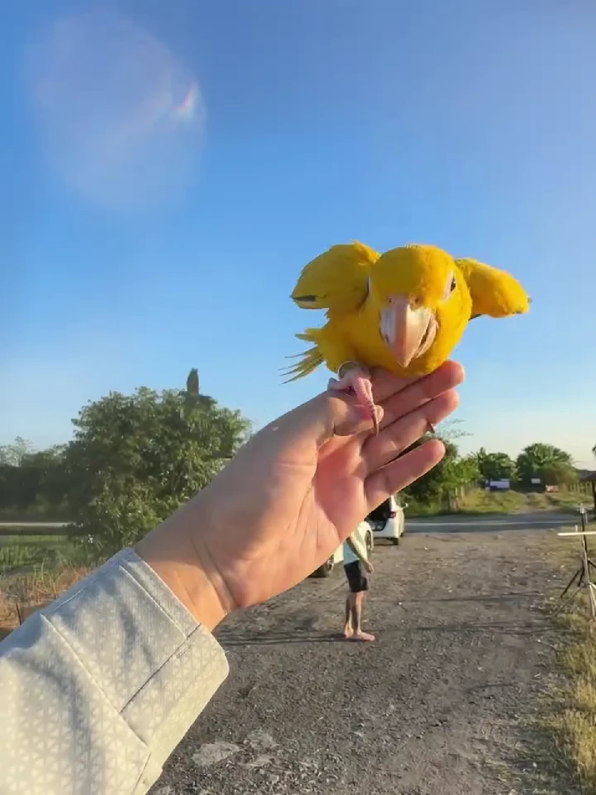  หัวอกคนรักสัตว์ “จันจิ” เผยวินาทีโล่งใจ พาน้องนกฝึกบินได้แล้ว