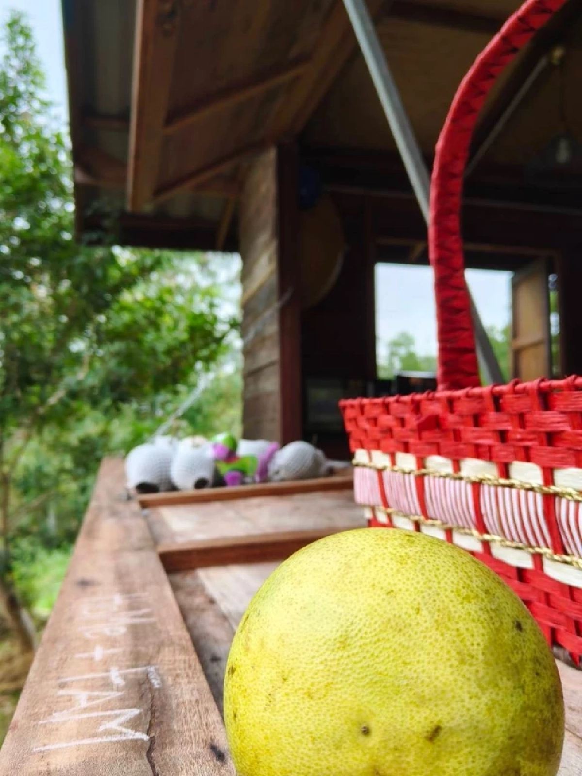  ติดดินอย่างมีความสุข  ปลูกผักกินเอง สอนลูกใกล้ชิดธรรมชาติ