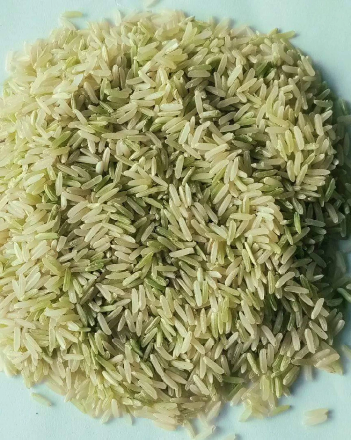 สศท.4 ปั้น ข้าวเขียวหยก ข้าวน้ำนมคุณค่าแน่น ดันเฉิดฉายเวทีโลก