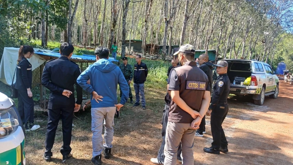 ทลายรังสแกมเมอร์เจอ "เสือโคร่ง" ถูกขัง ลุ้นผล DNA โยงแก๊งค้าสัตว์