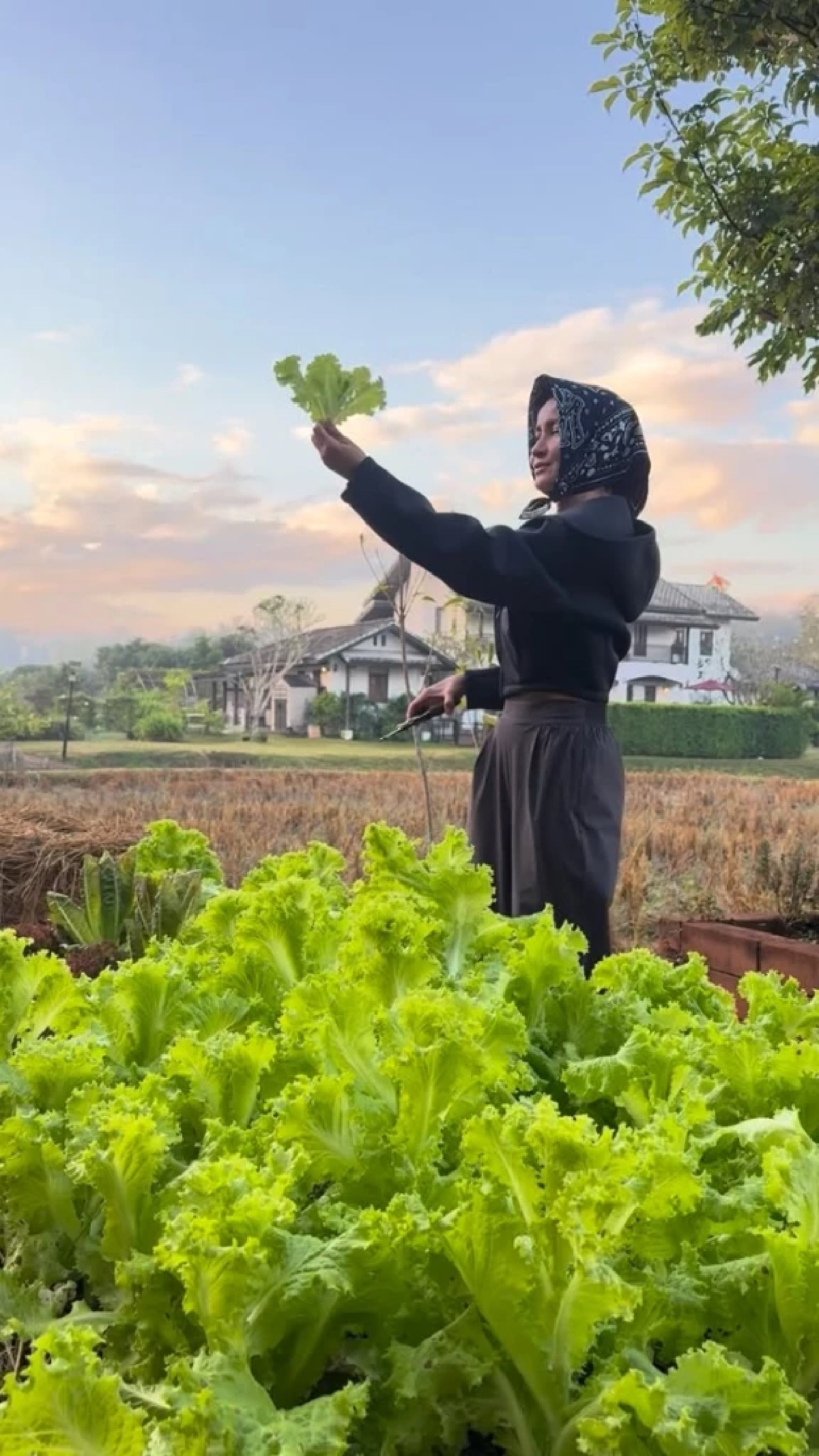 ฮีลใจสุดๆ เปิดบ้านนา “แอน ทองประสม” ที่เชียงใหม่ สวย สงบ น่าอยู่มาก