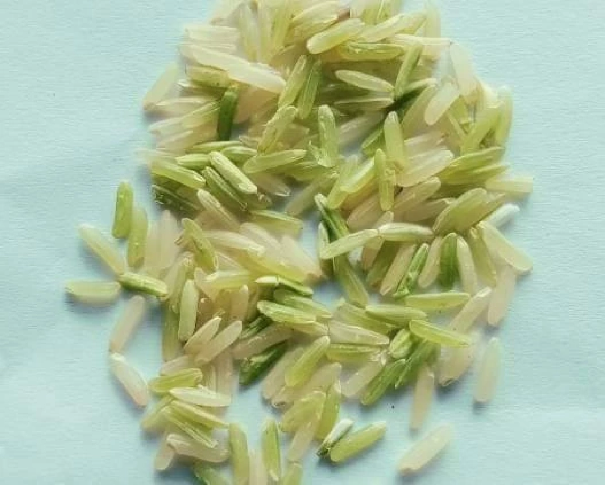 สศท.4 ปั้น ข้าวเขียวหยก ข้าวน้ำนมคุณค่าแน่น ดันเฉิดฉายเวทีโลก