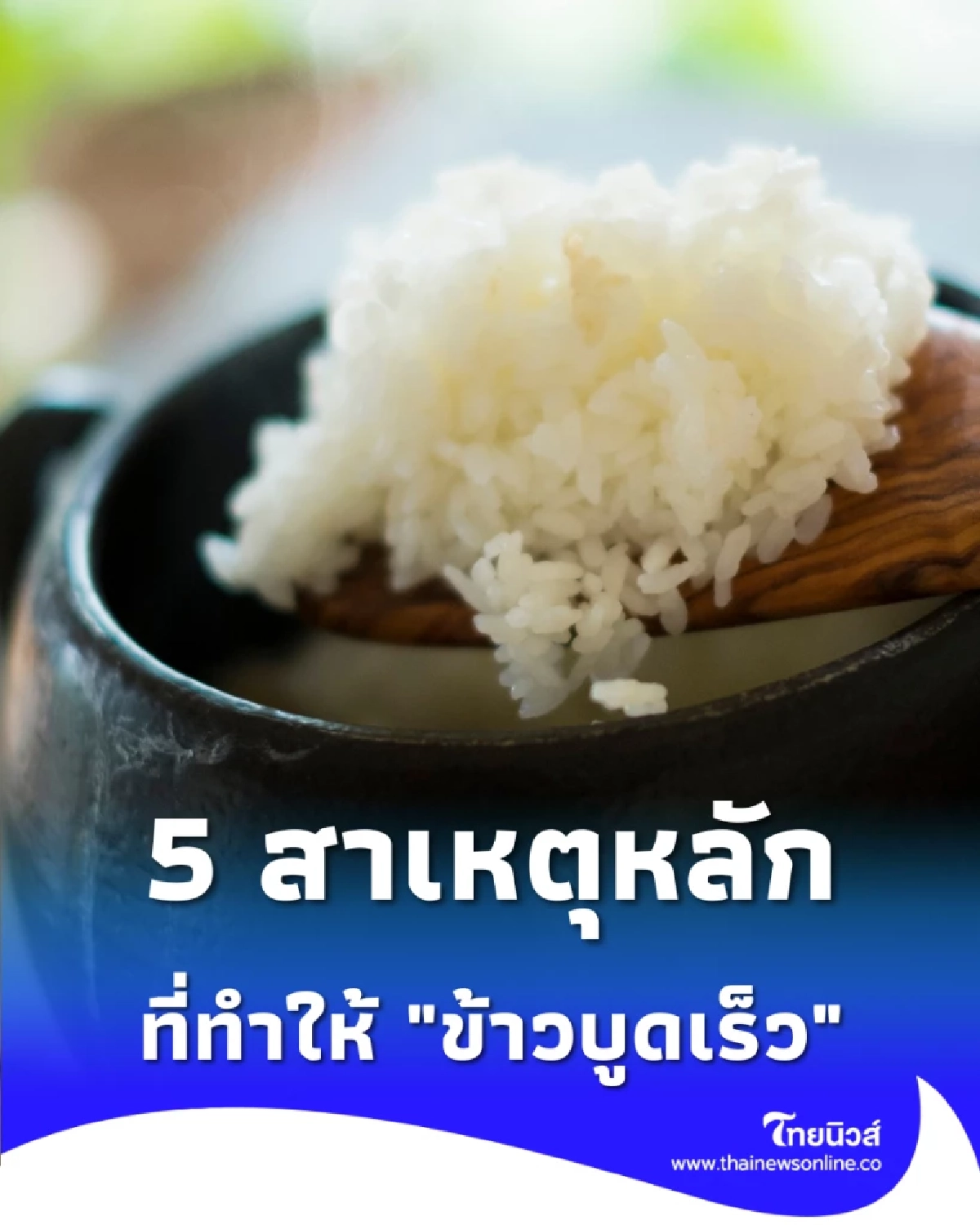 เปิดสาเหตุ ข้าวบูดคาหม้อ ทั้งที่เพิ่งหุง พร้อมวิธีแก้ให้เก็บได้นานข้ามวัน
