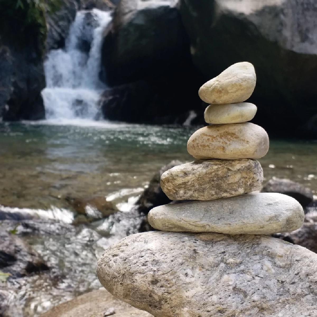 อย่าหาทำ! เรียงหินในป่า ถ่ายรูปสวยแต่ทำลายชีวิตนับล้าน