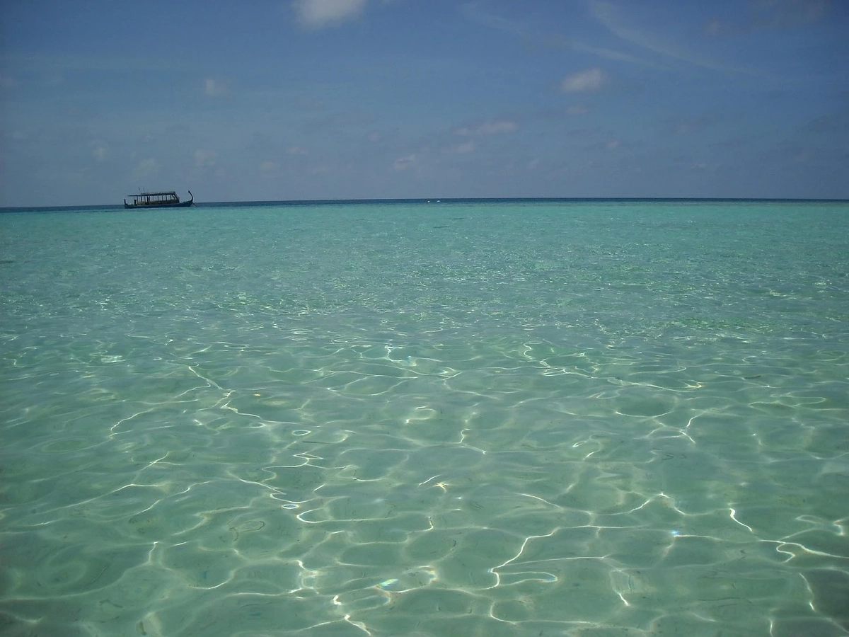 สาวเป็นวันมามาก ดำน้ำดูฉลาม ก่อนถูกกัด สุดท้ายทำคนสงสารไม่ลง