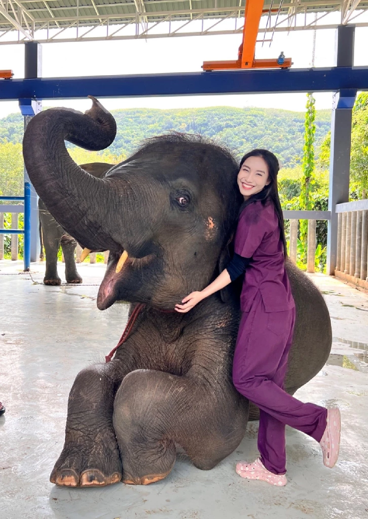 น้องปีเตอร์ พ้นวิกฤต ผลตรวจ EEHV เป็นลบ เตรียมกลับบ้านพรุ่งนี้