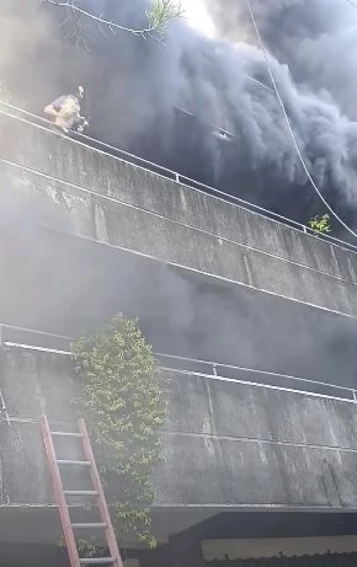 ไฟไหม้รุนแรง แต่หญิงสาวไม่ยอมหนี ต้องช่วยสุนัขให้ครบก่อน