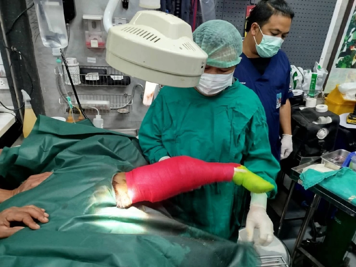 บ่วงสลิงมรณะรัดลูกกระทิงเขาใหญ่ ขาเจ็บหนักถึงกระดูก ทีมแพทย์เร่งช่วย