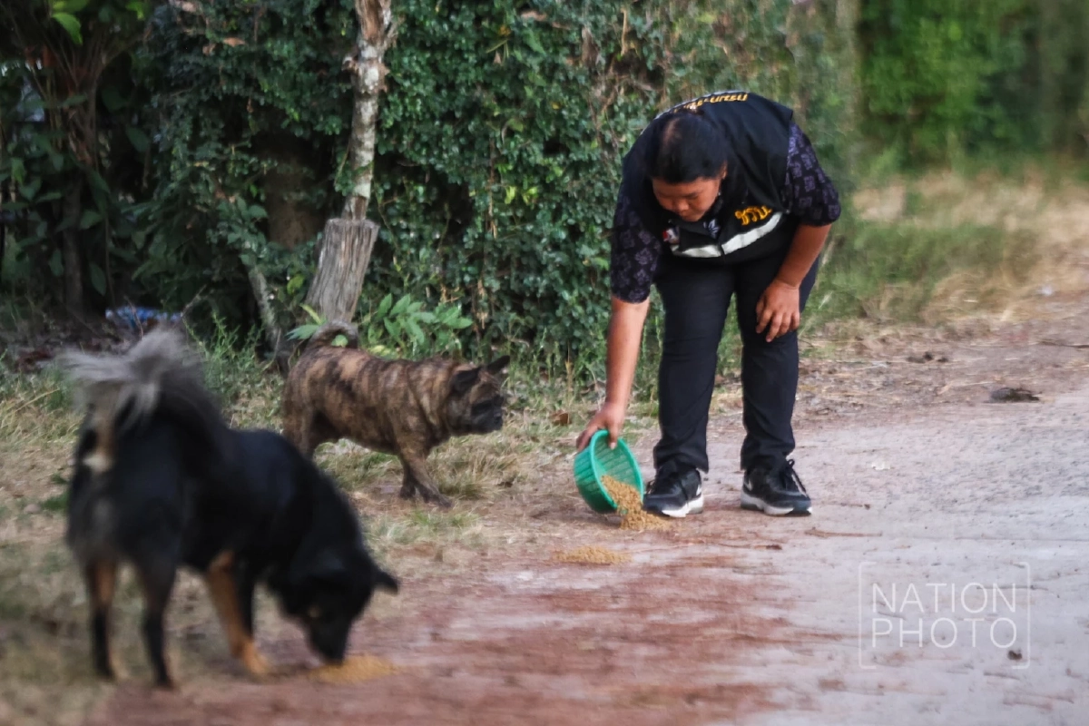 ภาพ โสภน สุเสนา (Sopon Susena)