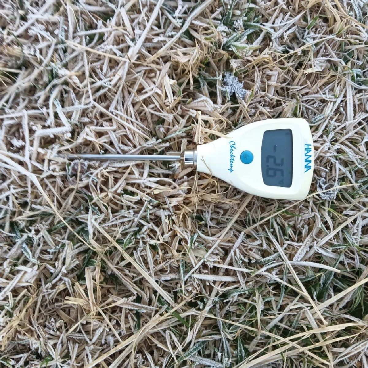 หนาวจัด 4 องศา เหมยขาบกลับมาอีกครั้ง ดอยอินทนนท์เช้านี้