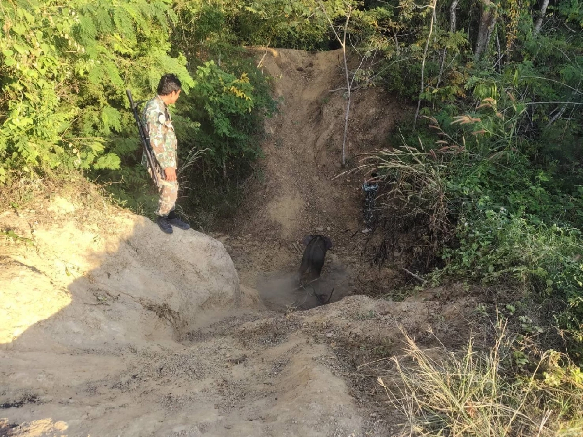 เจ้าหน้าที่ ขสป.อ่างฤาไน ช่วย 2 ลูกช้างป่าพลัดหลง กลับคืนป่า