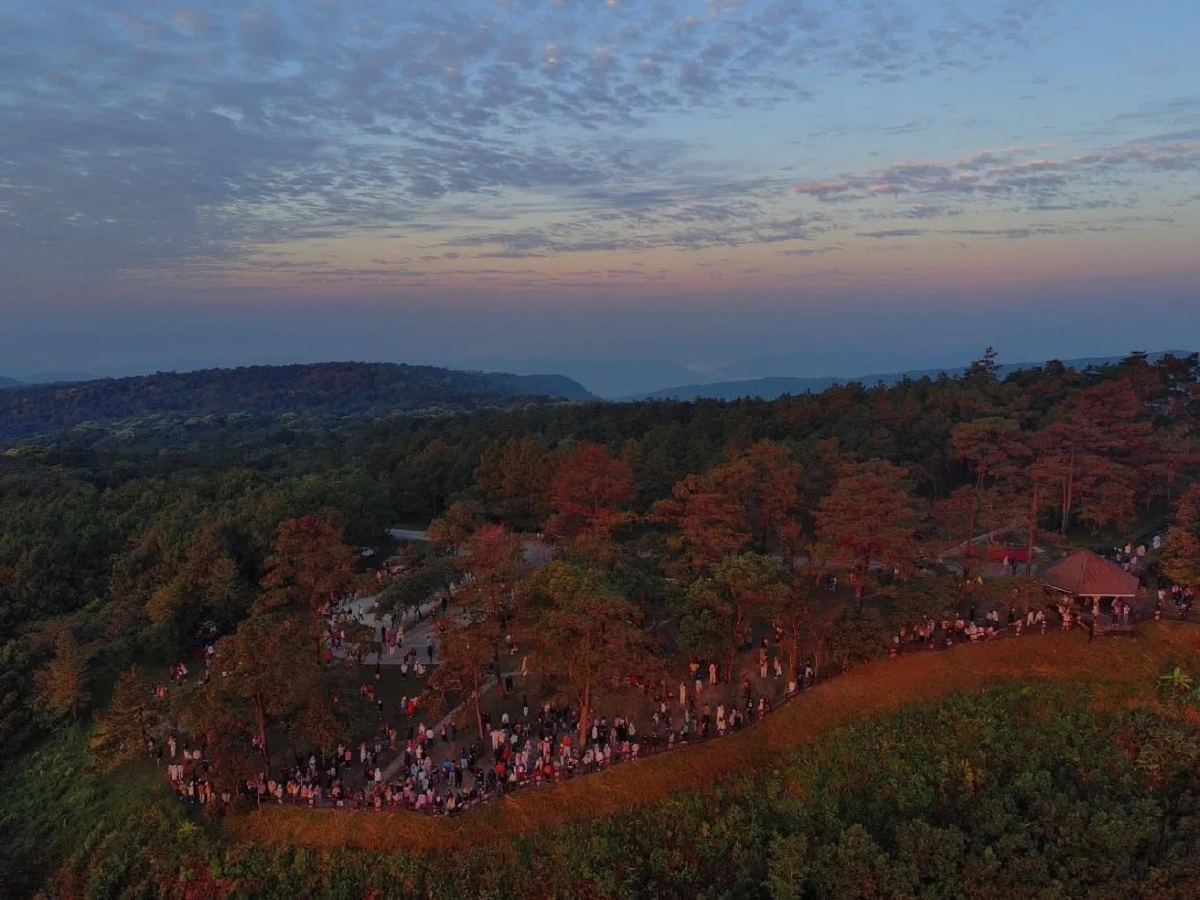 แห่ขึ้นภูเรือนับพัน! เข้าฟรีวันแรก ทะเลหมอกปังส่งท้ายปี 2568