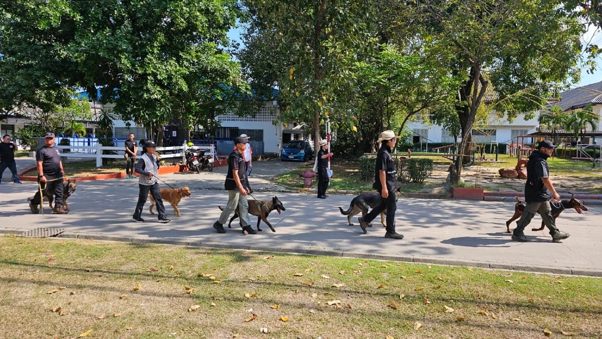 เปิดคะแนน 3 สุนัขทหารไทย สอบระดับโลก เก่งจนกรรมการชม