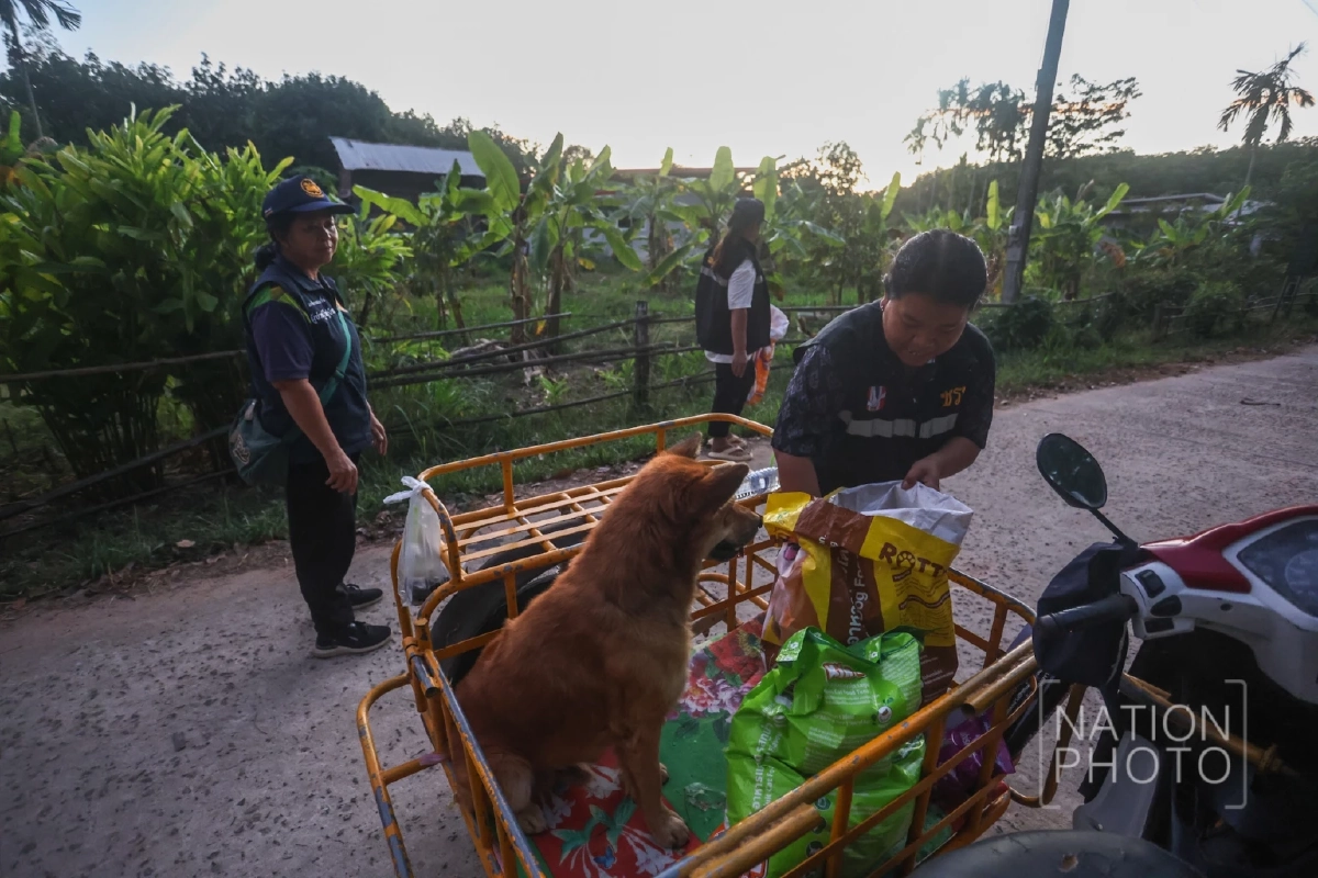 ภาพ โสภน สุเสนา (Sopon Susena)