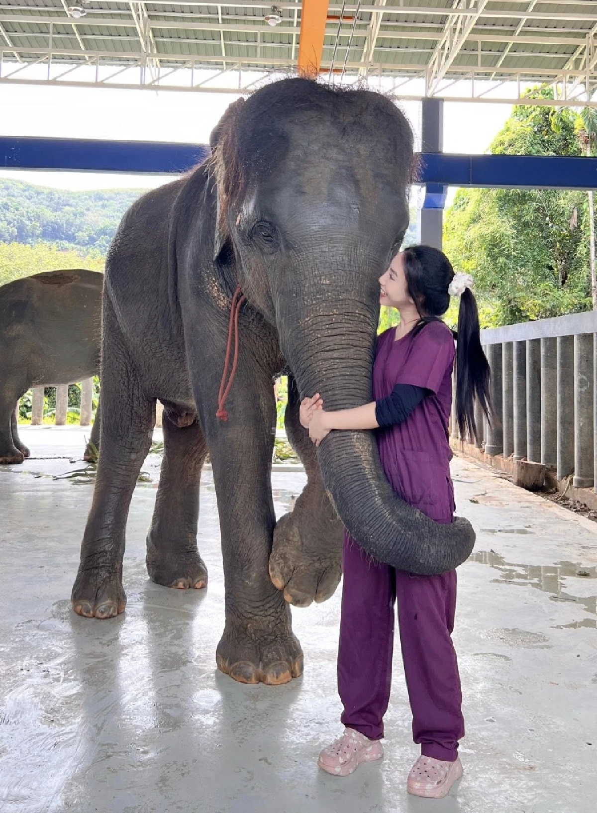 น้องปีเตอร์ พ้นวิกฤต ผลตรวจ EEHV เป็นลบ เตรียมกลับบ้านพรุ่งนี้