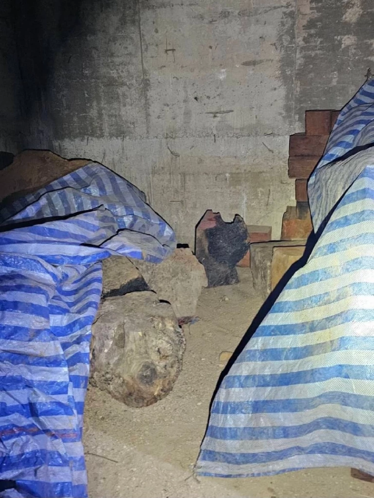 รองนายกฯ สุชาติ​ ขอบคุณทีมกรมอุทยานฯ และดีเอสไอ จับขบวนการตัดไม้