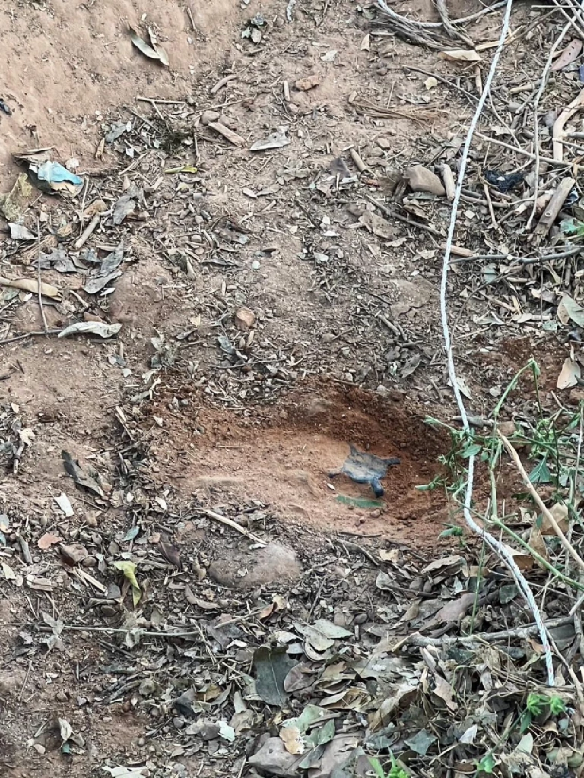 ทบ.เผยพบ PMN-2 อีก 4 ทุ่น ใกล้จุดทหารไทยเหยียบกับระเบิด