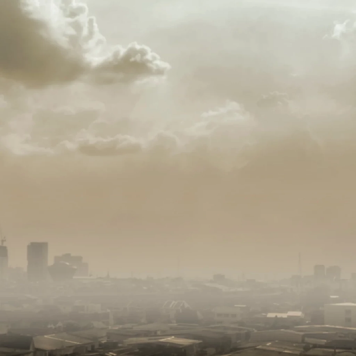 ปี 68 คนไทยป่วย PM2.5 ทะลุ 10 ล้าน เสี่ยงมะเร็งพุ่ง