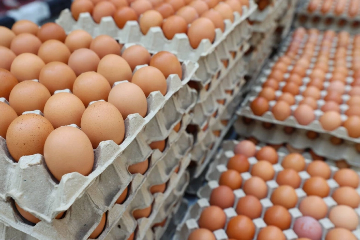 \"มูลนิธิเนชั่น-ซีพีเอฟ\" ทำโรงครัว ช่วยเหลือน้ำท่วมภาคใต้