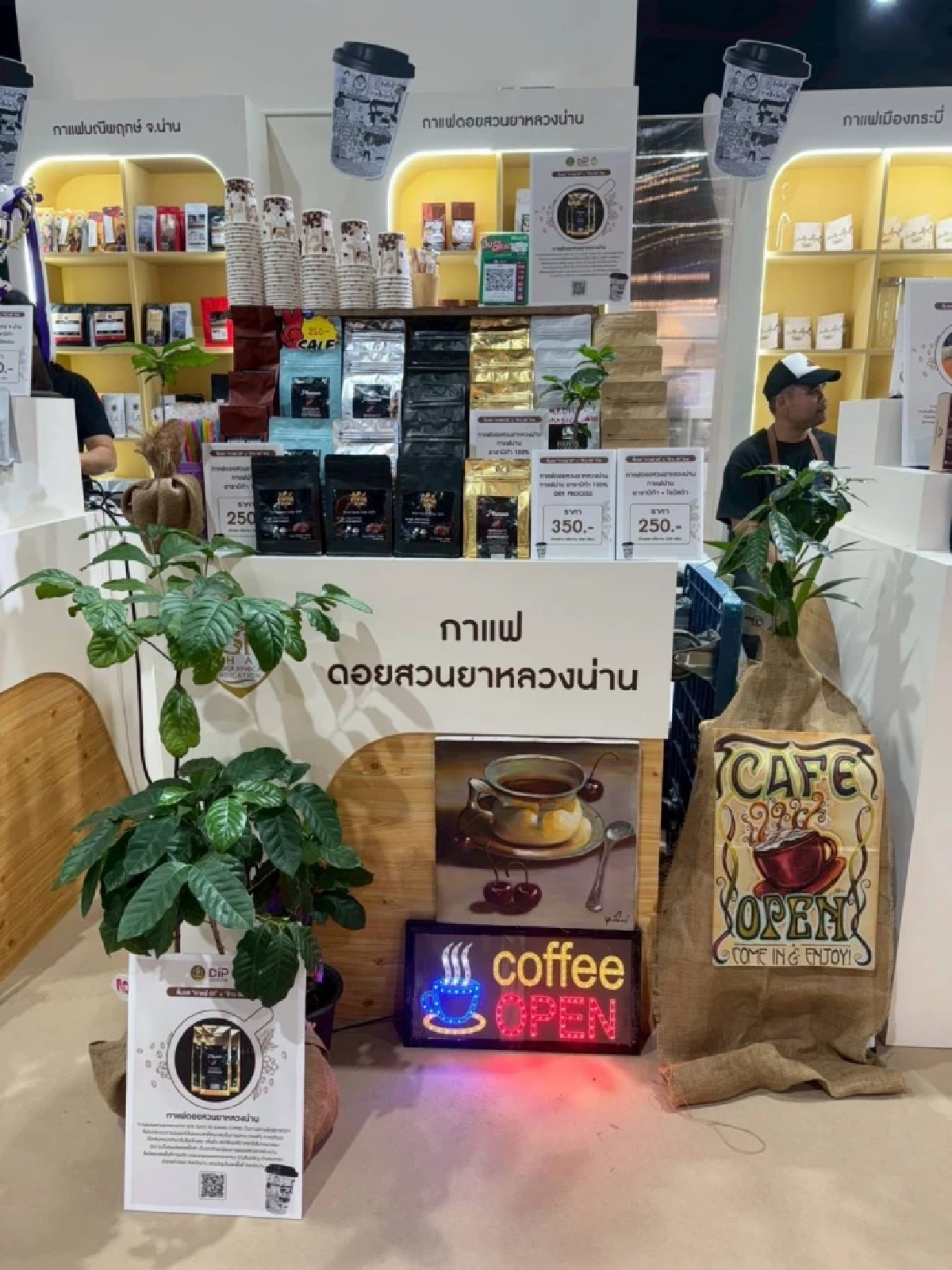 กรมทรัพย์สินทางปัญญา เปิดอาณาจักร GI Pavilion ยกขบวนเมล็ดพันธุ์ GI ไทย บุกงาน ข้าว-กาแฟ