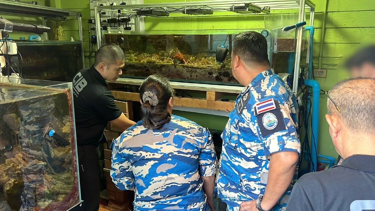 CIB บุกทลายขบวนการค้าปะการังออนไลน์ รวบหนุ่มวัย 33 ซุกของกลาง