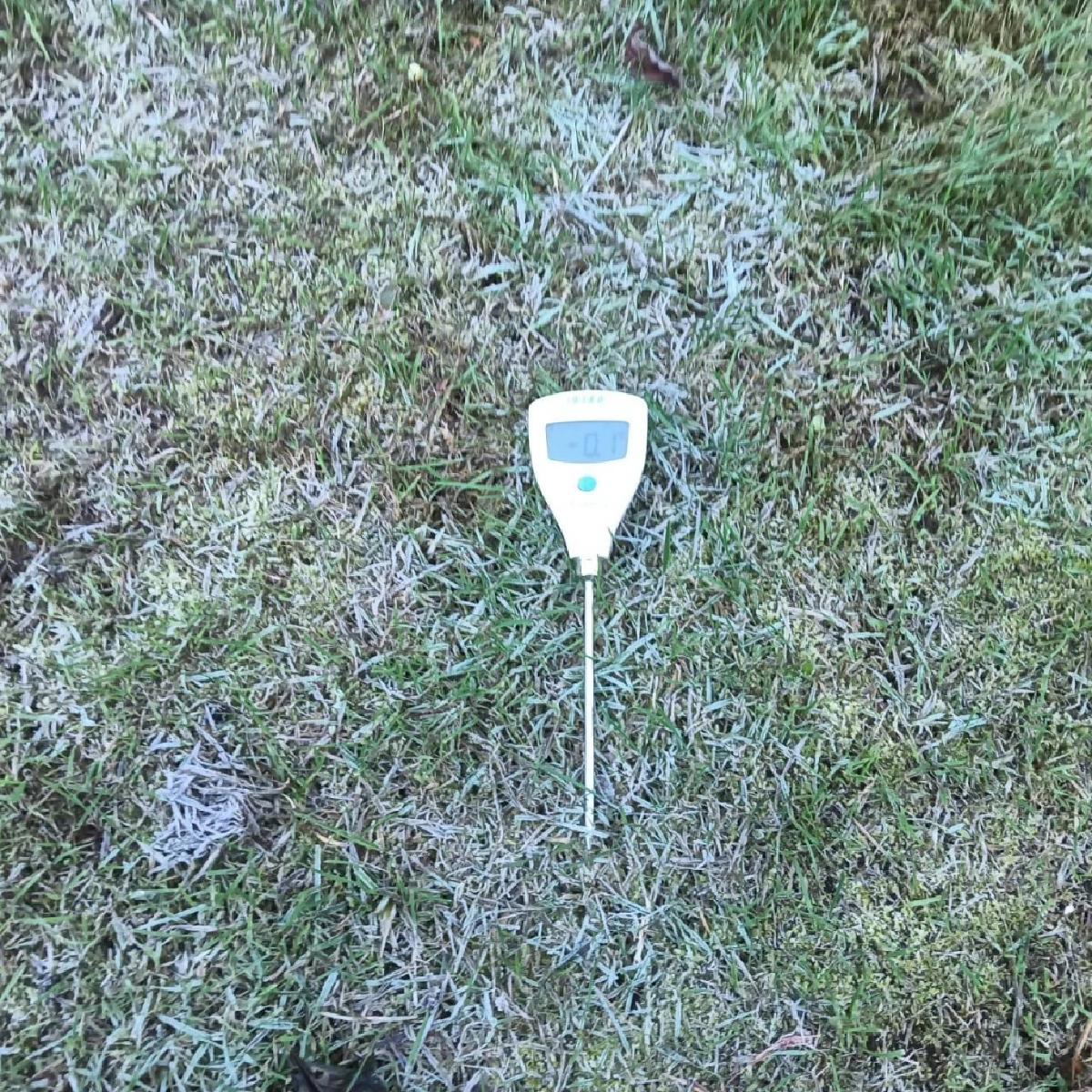 “ดอยอินทนนท์หนาวจัด! เหมยขาบโผล่ 9 วัน นักท่องเที่ยวทะลุ 2 หมื่น”