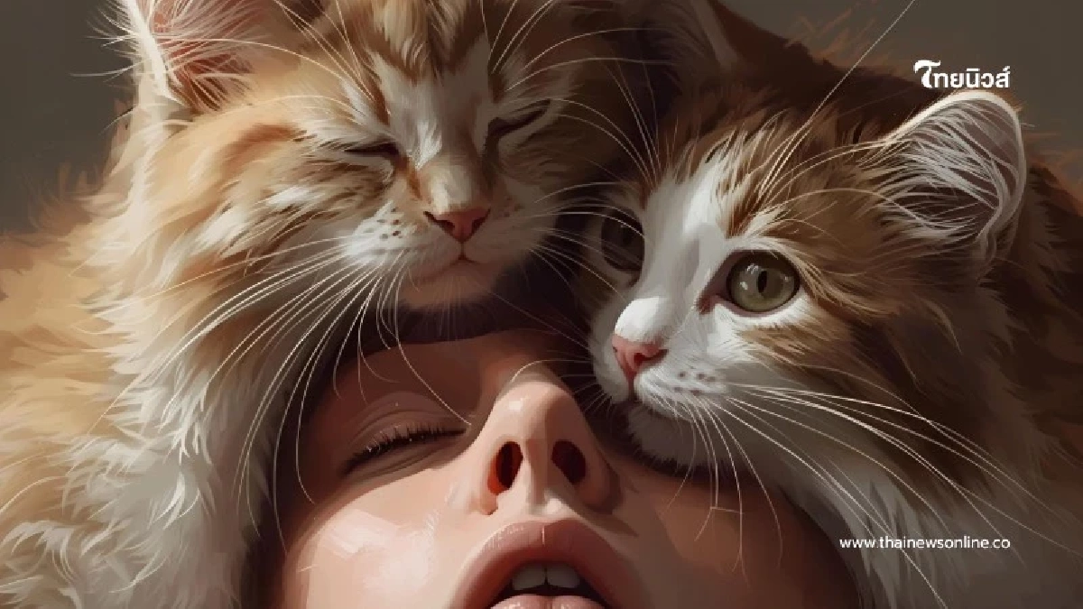 ทำไมแมวชอบนั่งทับหน้า อย่าเพิ่งรำคาญ มันคือ สัญญานรักที่ซ่อนไว้