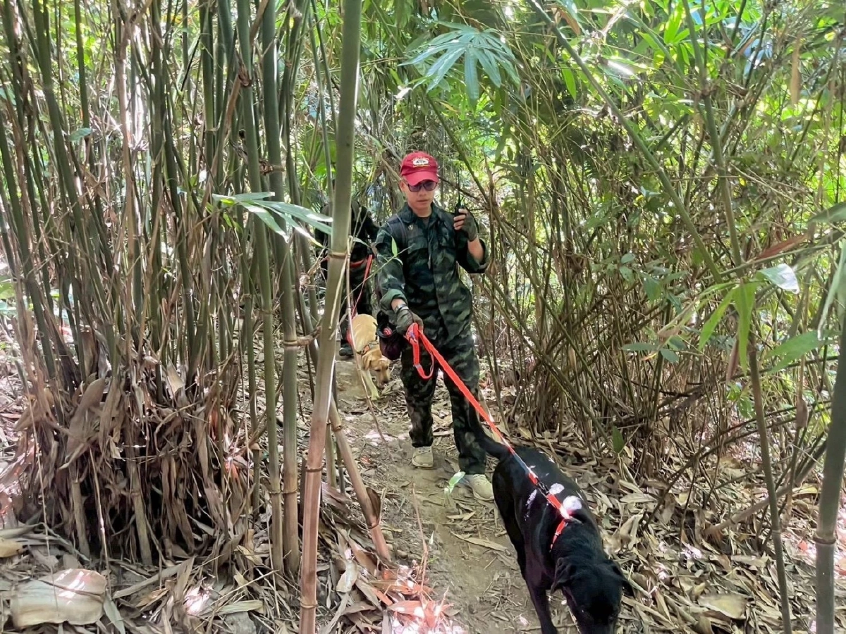 ภารกิจสำเร็จ! ชุดสุนัขค้นหาทบ. พบผู้สูญหายหลังติดป่า 4 วัน 3 คืน