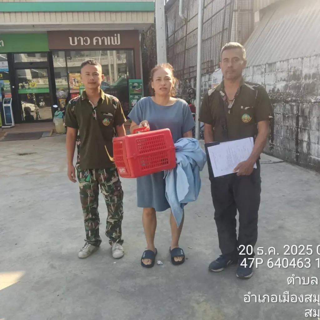 รับมอบ นกเค้าหูยาวเล็ก ผ่านการแจ้งผ่านสายด่วนพิทักษ์ป่า 1362
