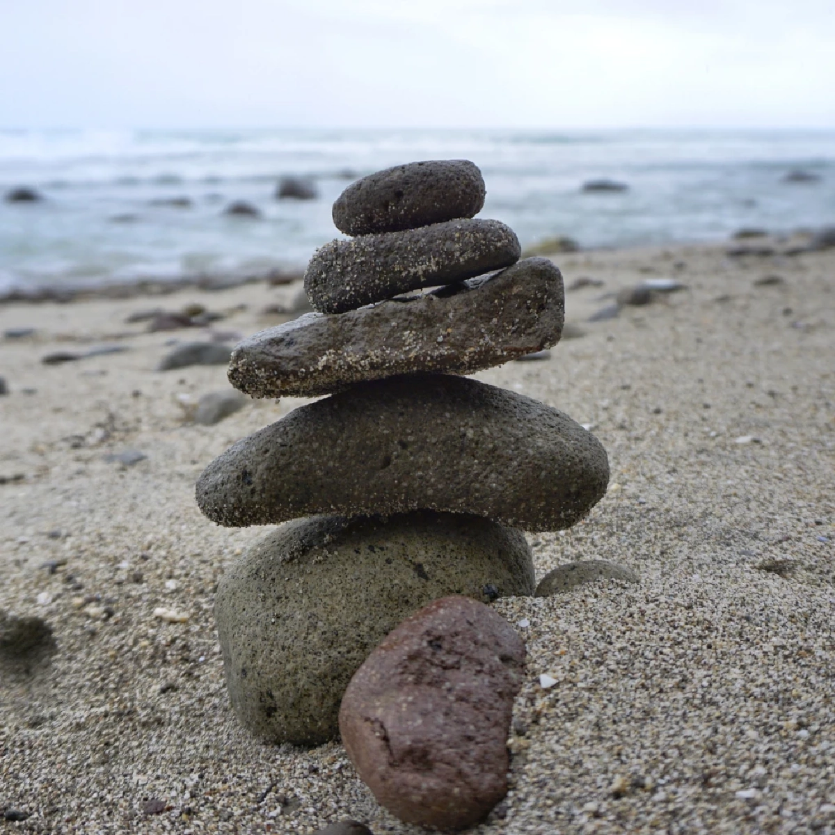 อย่าหาทำ! เรียงหินในป่า ถ่ายรูปสวยแต่ทำลายชีวิตนับล้าน