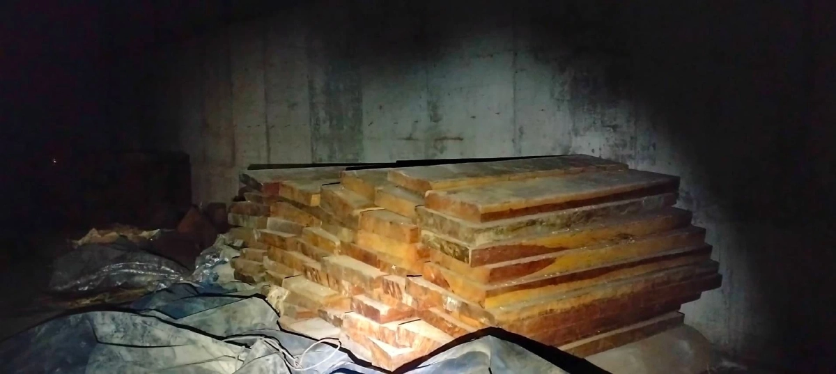 รองนายกฯ สุชาติ​ ขอบคุณทีมกรมอุทยานฯ และดีเอสไอ จับขบวนการตัดไม้