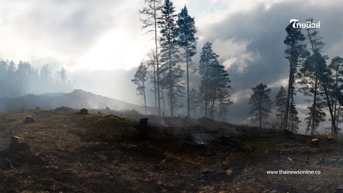 GISTDA เผยจุดความร้อนไทย 316 จุด เตือนเฝ้าระวังควันข้ามพรมแดน