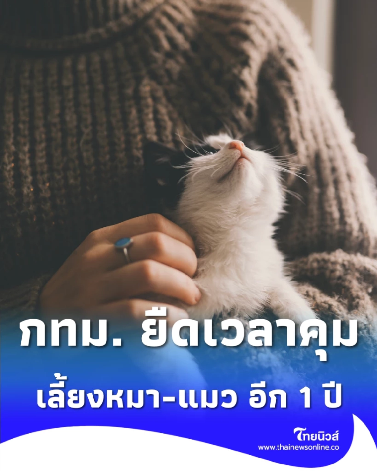 กทม. ยืดเวลาคุม เลี้ยงหมา-แมว อีก 1 ปี ปรับปรุงระบบให้ดีกว่าเดิม