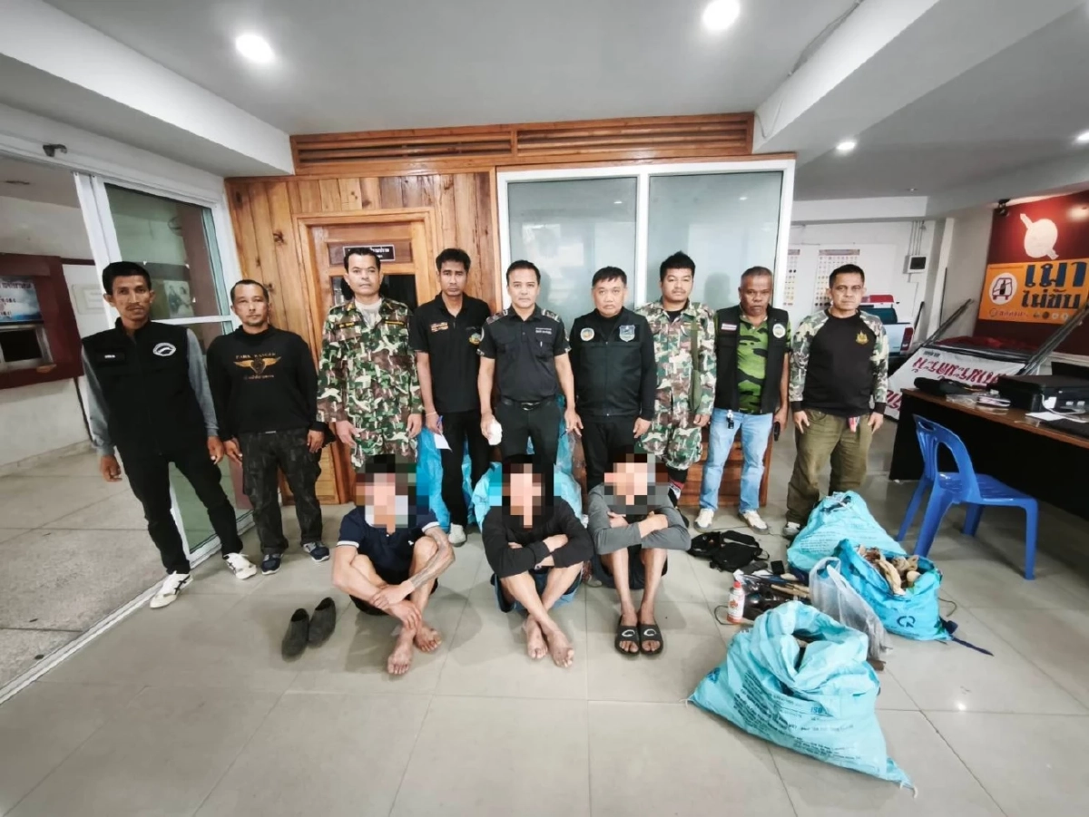 จับชาวเวียดนาม 3 คนขุดไม้กฤษณาหวังรวยทางลัด พร้อมยึดของกลาง