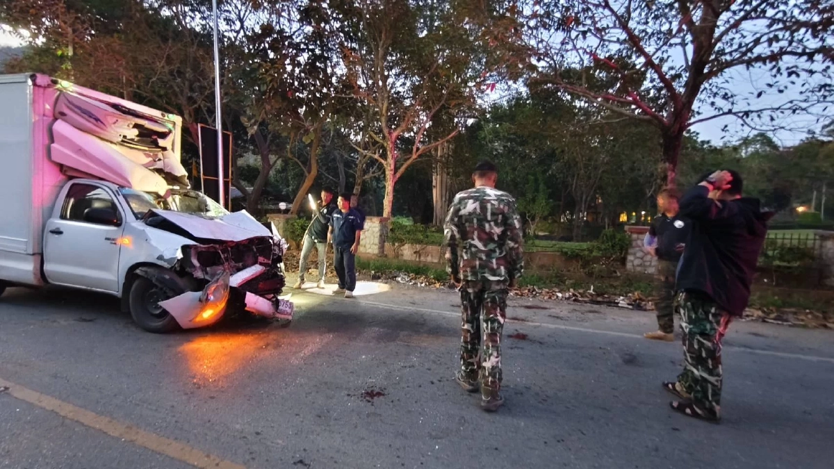 เร่งตามหาพลายชมวิว ถูกรถชนบาดเจ็บ เตรียมทีมหมอช่วยด่วนที่เขาใหญ่