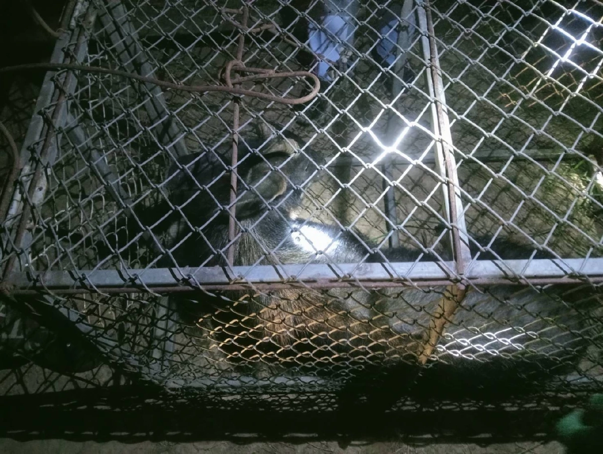 ช่วยเหลือเลียงผาบาดเจ็บ ผ่านการแจ้งผ่านสายด่วนพิทักษ์ป่า 1362