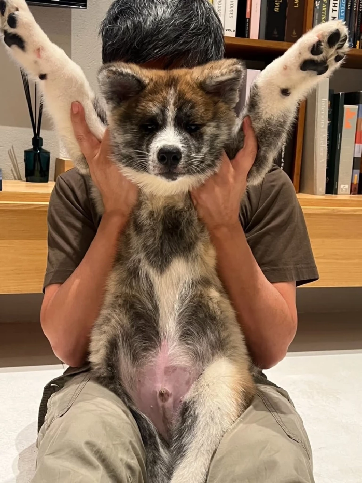 ของขวัญสุดเซอร์ไพรส์! “เต๋า สมชาย”  เมียเผยเหตุผลที่ยอมเปิดใจ