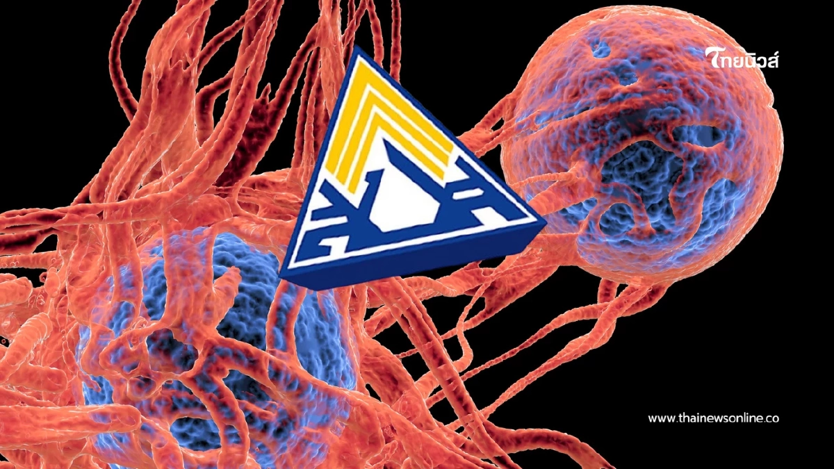 ประกันสังคมแจงสิทธิมะเร็ง ยันครอบคลุมเทียบเท่าบัตรทอง