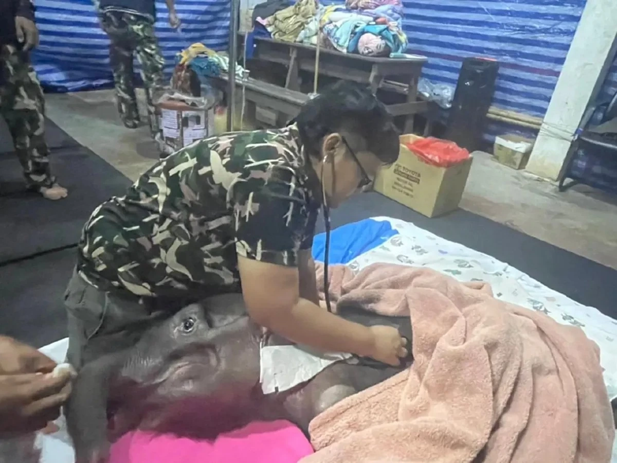 เผยสาเหตุ "น้องข้าวต้ม" กลับดาว หลังต่อสู้มานานกว่า 3 เดือน