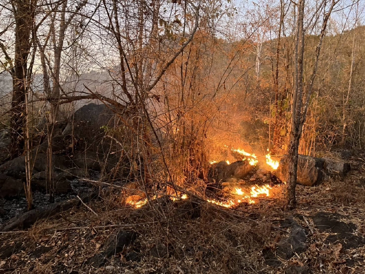 เคสแรกปี 2569 อช.เอราวัณสกัดไฟป่า พบหลักฐานพรานโหดจุดไฟล่าสัตว์