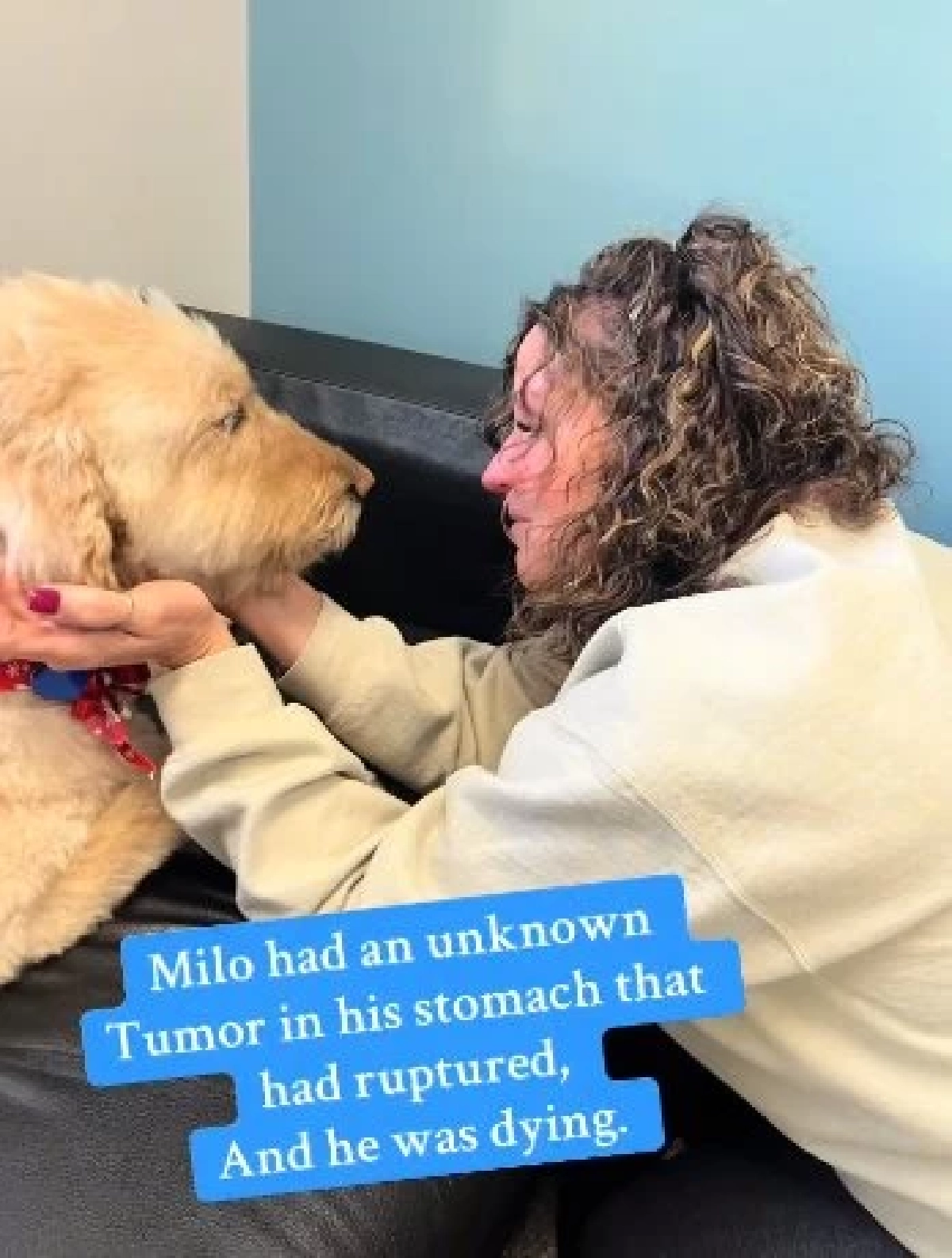 เจ้าของคิดว่าแค่ลูกรักงอน ที่แท้คือสัญญาณเตือนครั้งสุดท้าย